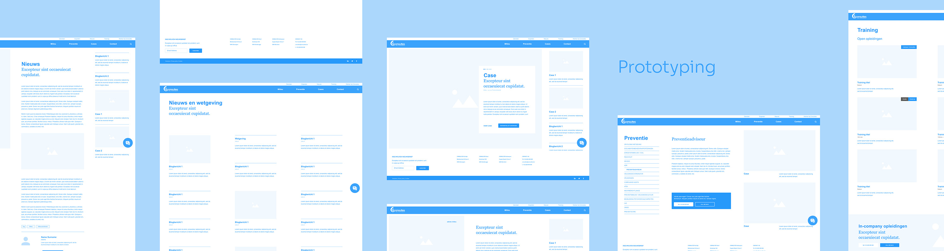 The Consultes wireframe