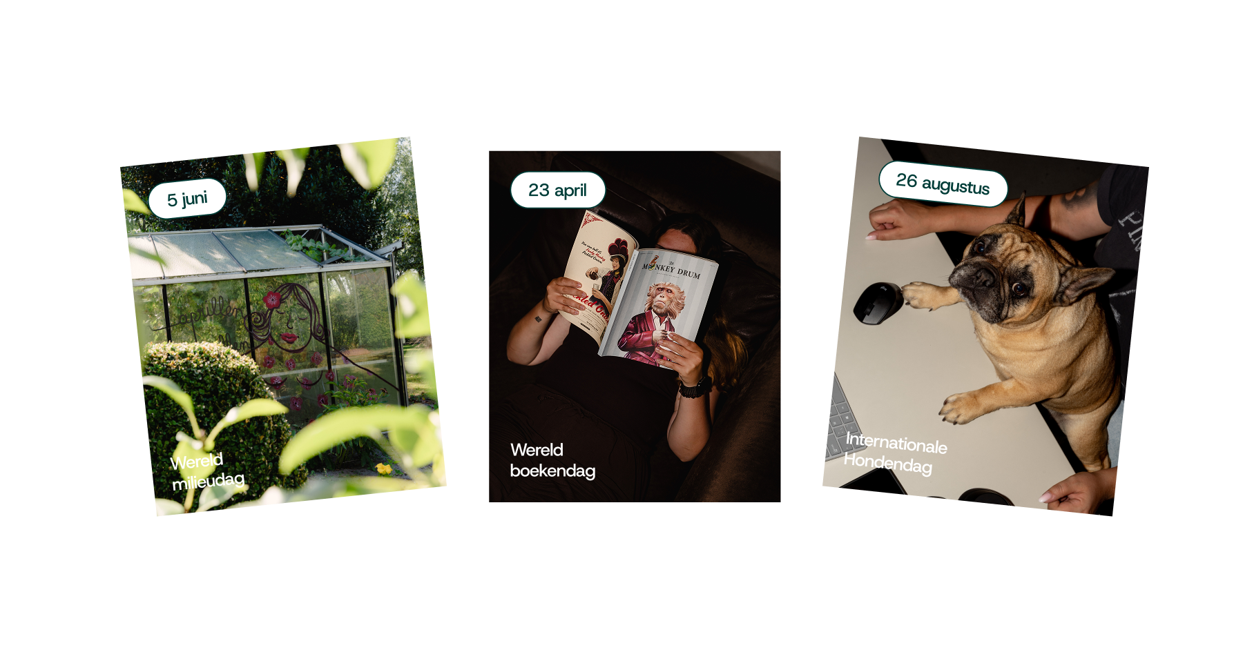 Comma - Toptopical kalender 2026