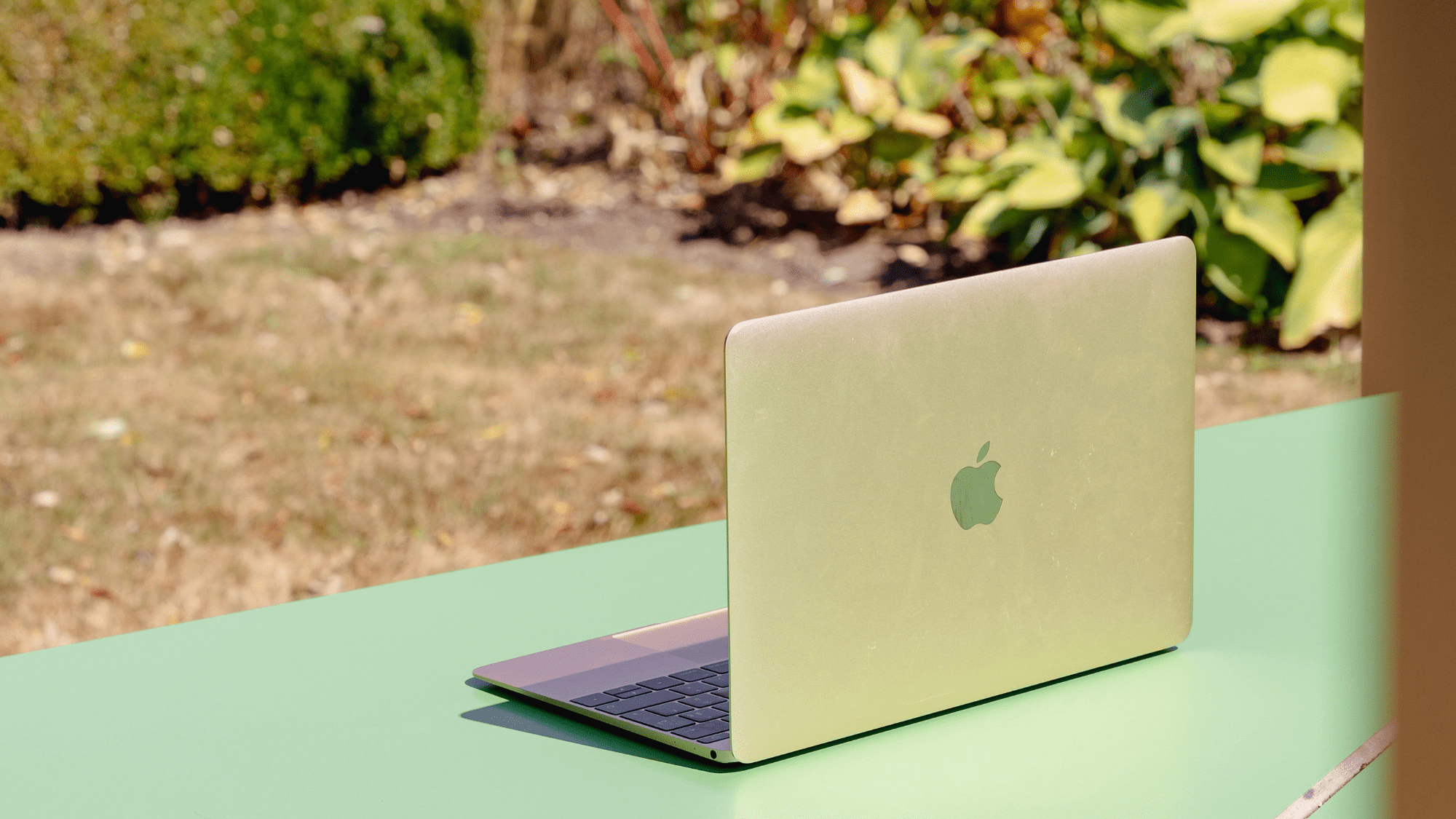 Comma - social media-afmetingen