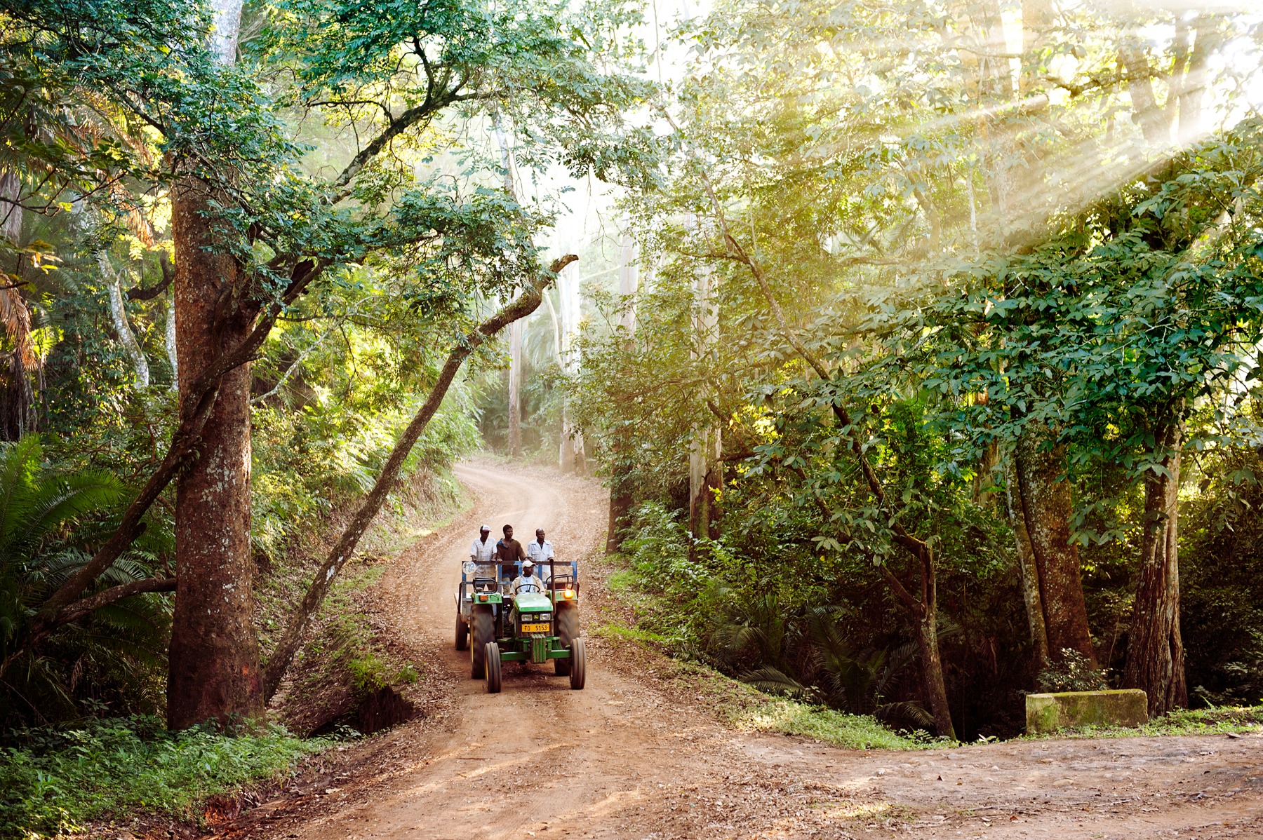 Van economische ontwikkelingshulp tot thee-lovebrand