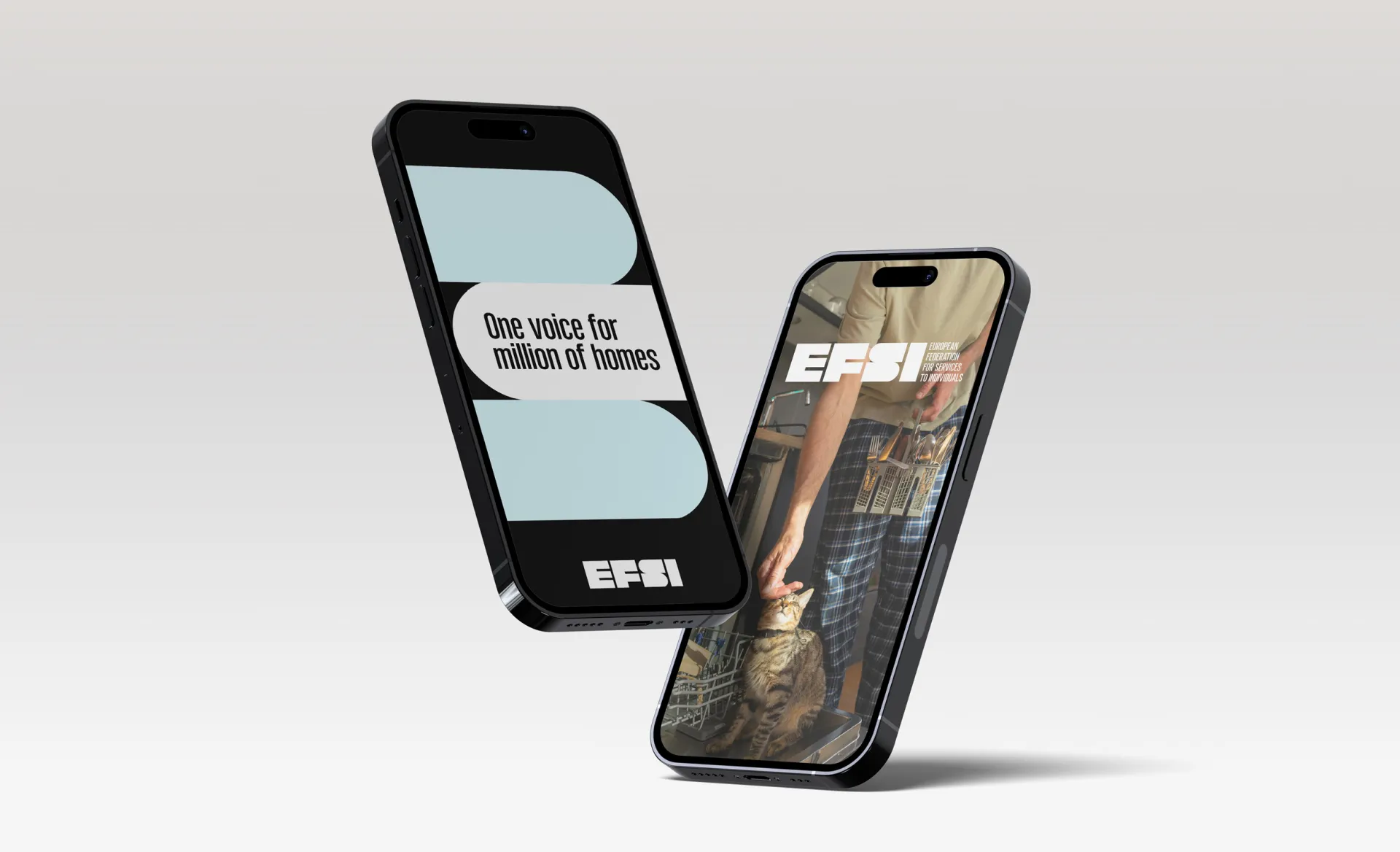 case EFSI