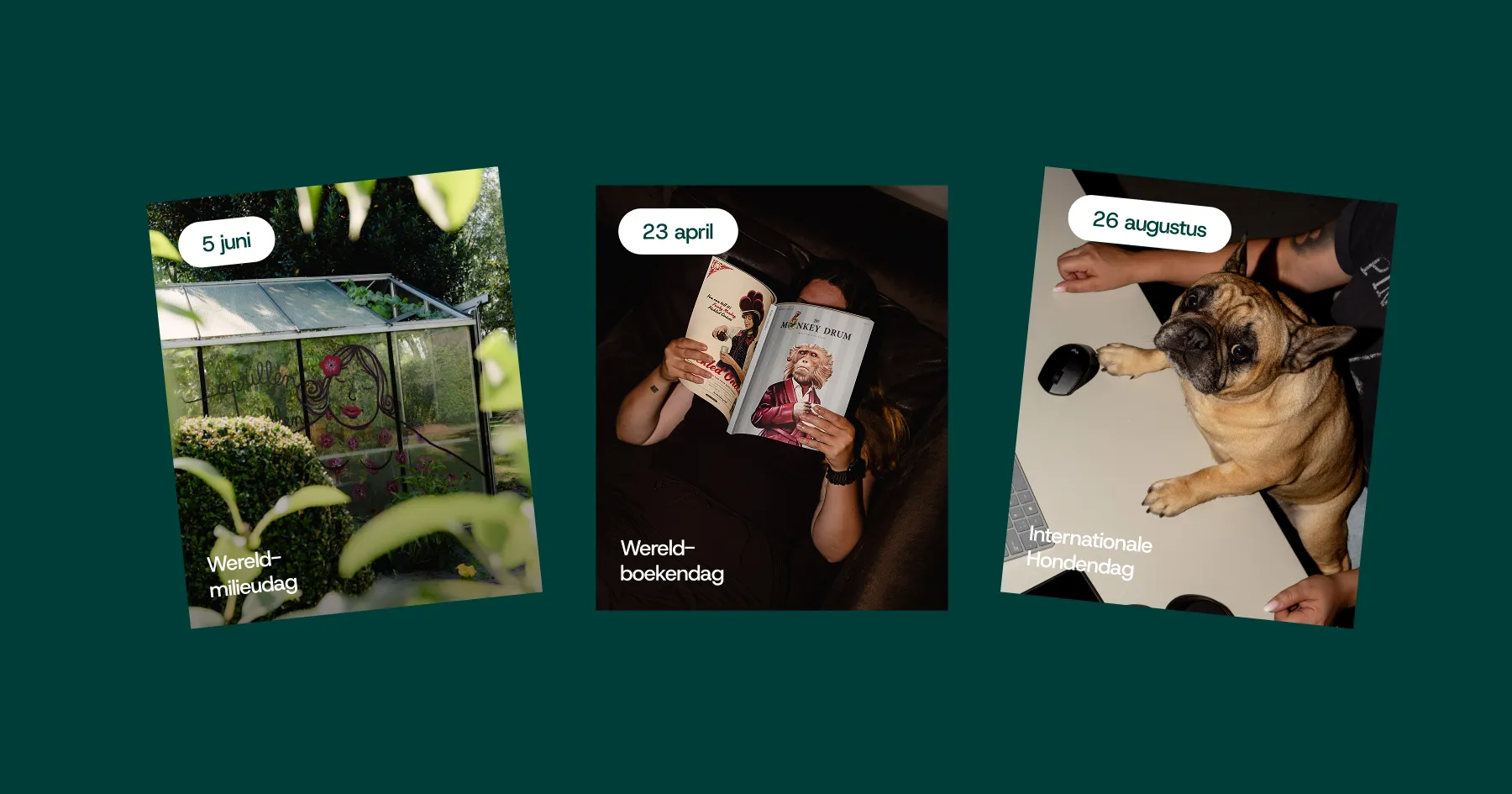 Comma - Toptopical kalender 2026