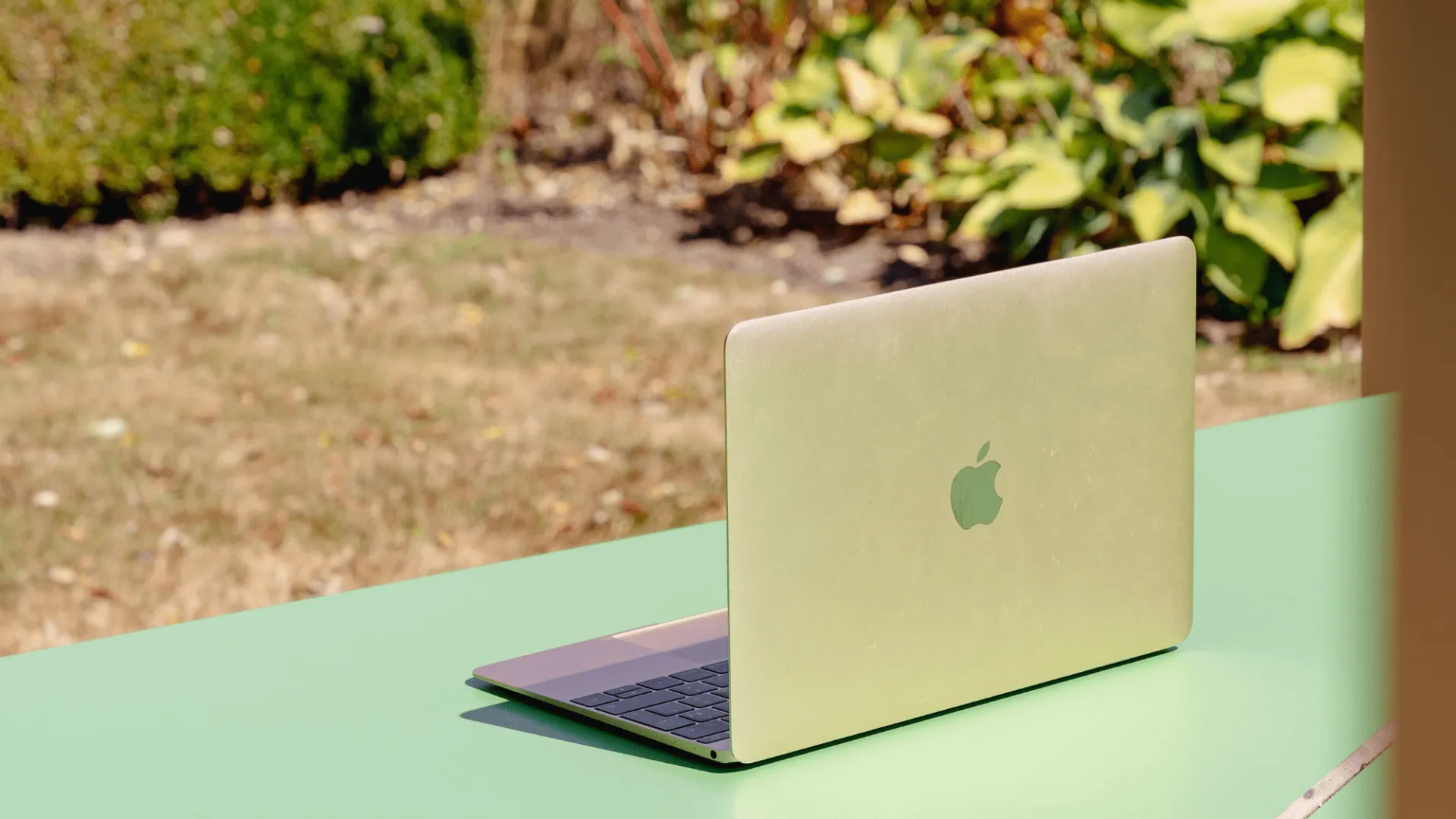 Comma - social media-afmetingen