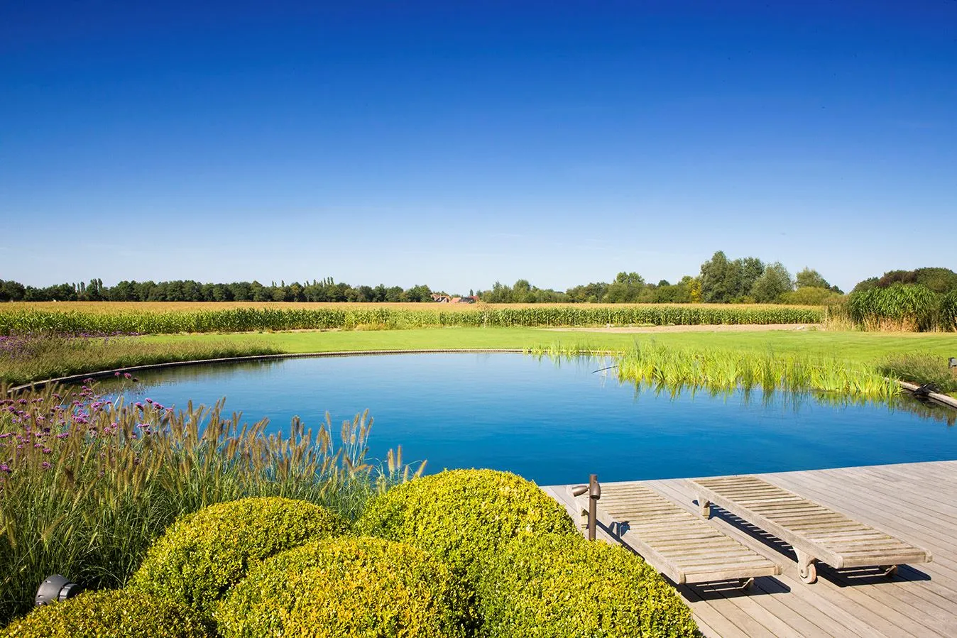 Puur natuur met Swimm