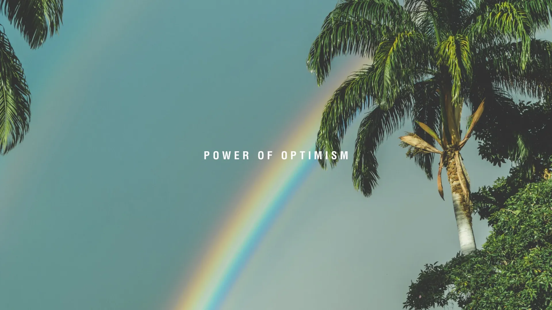 The power of optimism: become an extraordinary brand!