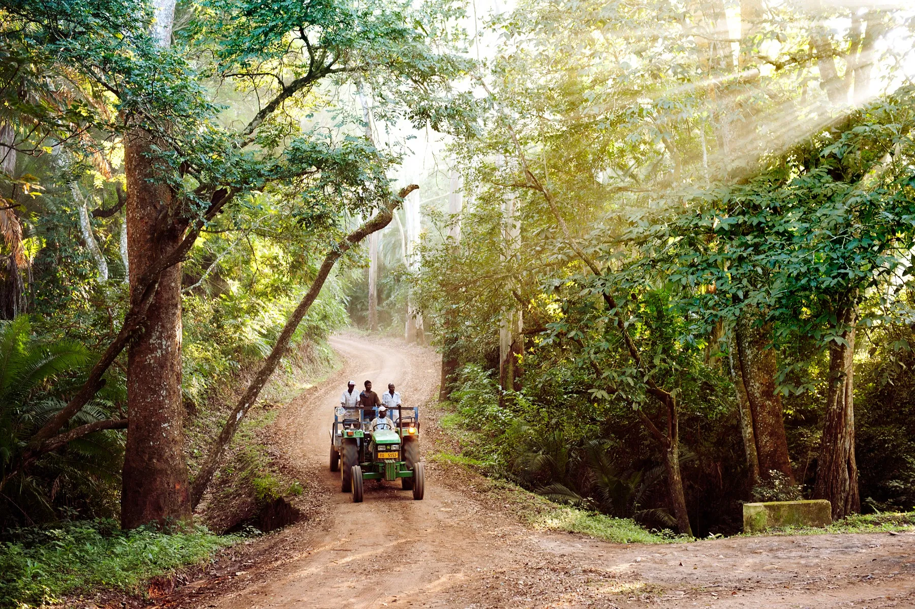 Van economische ontwikkelingshulp tot thee-lovebrand