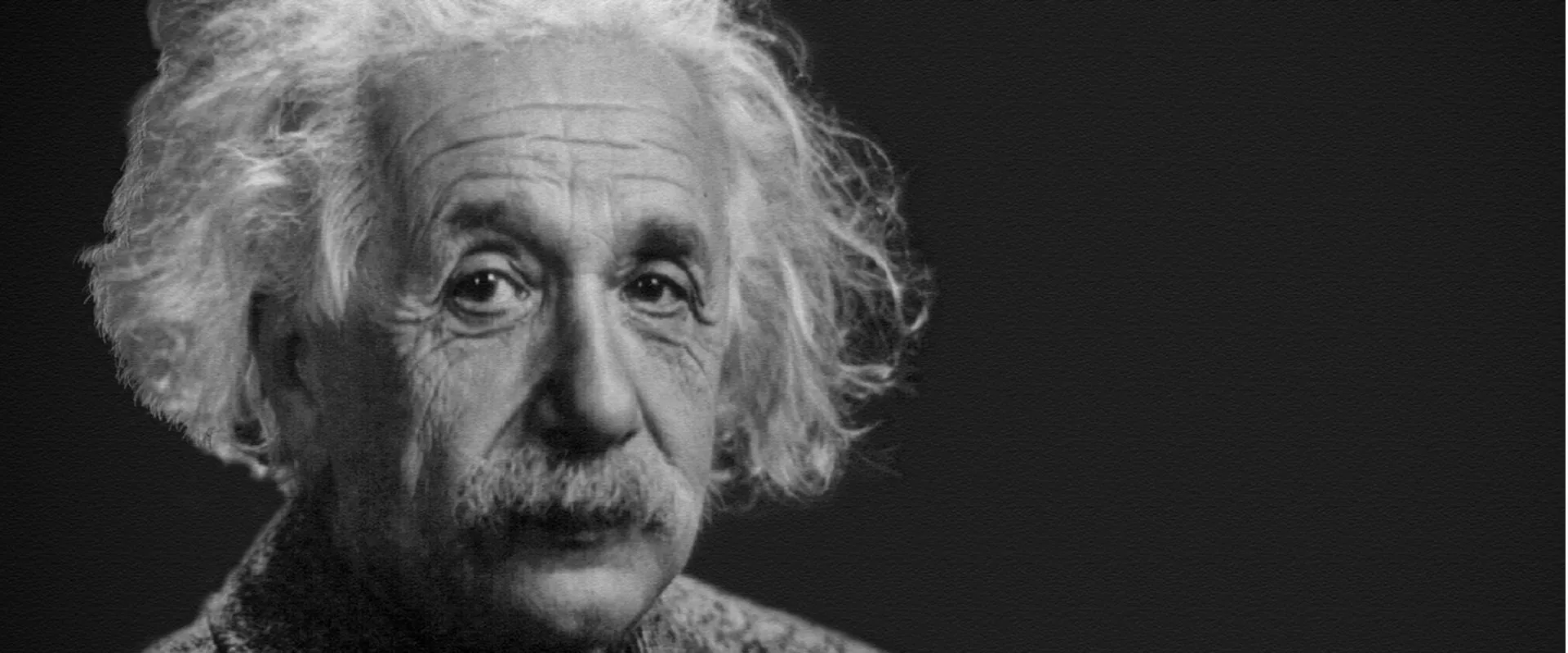 Tribe Intelligence - Februari 2021