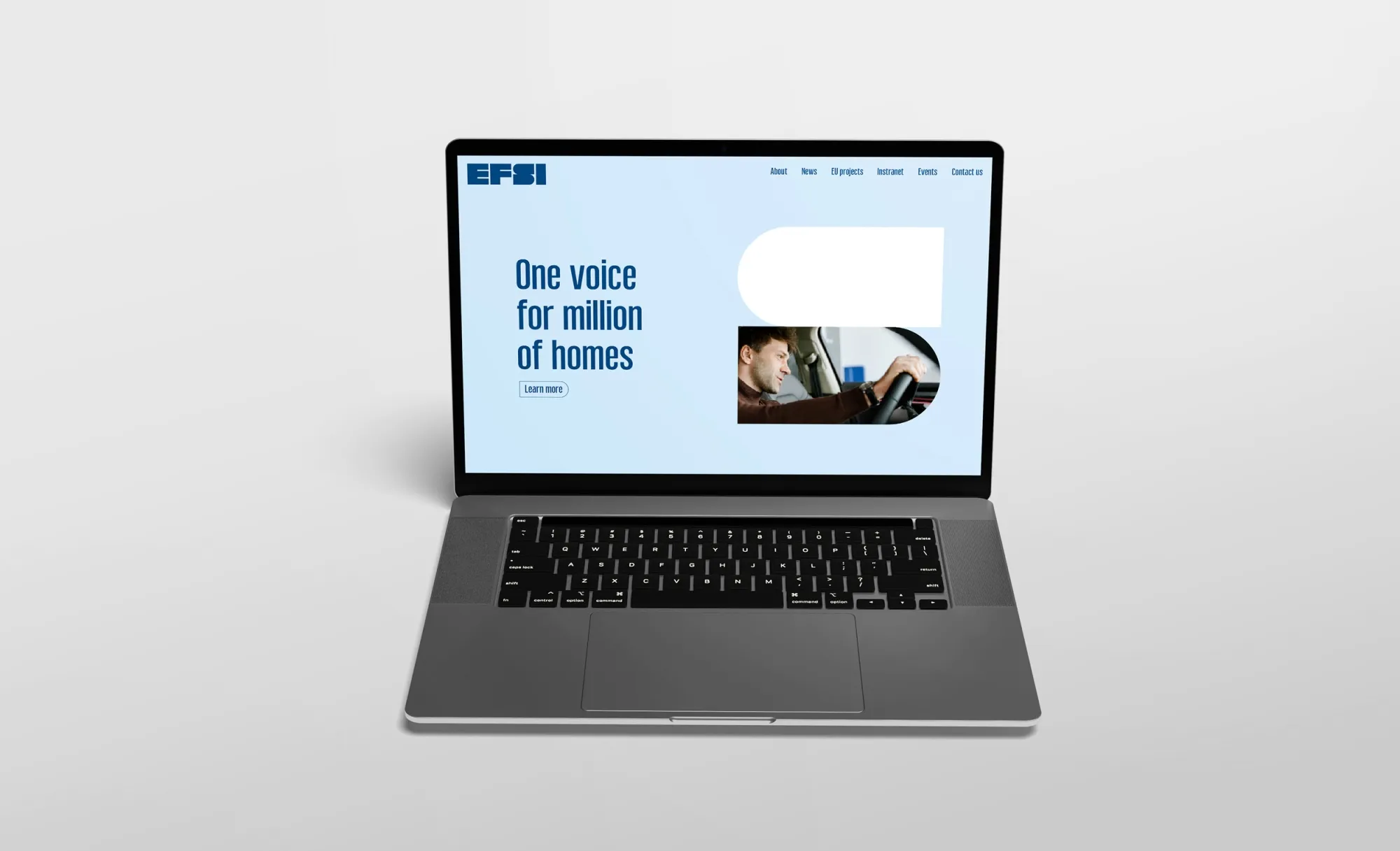 case EFSI